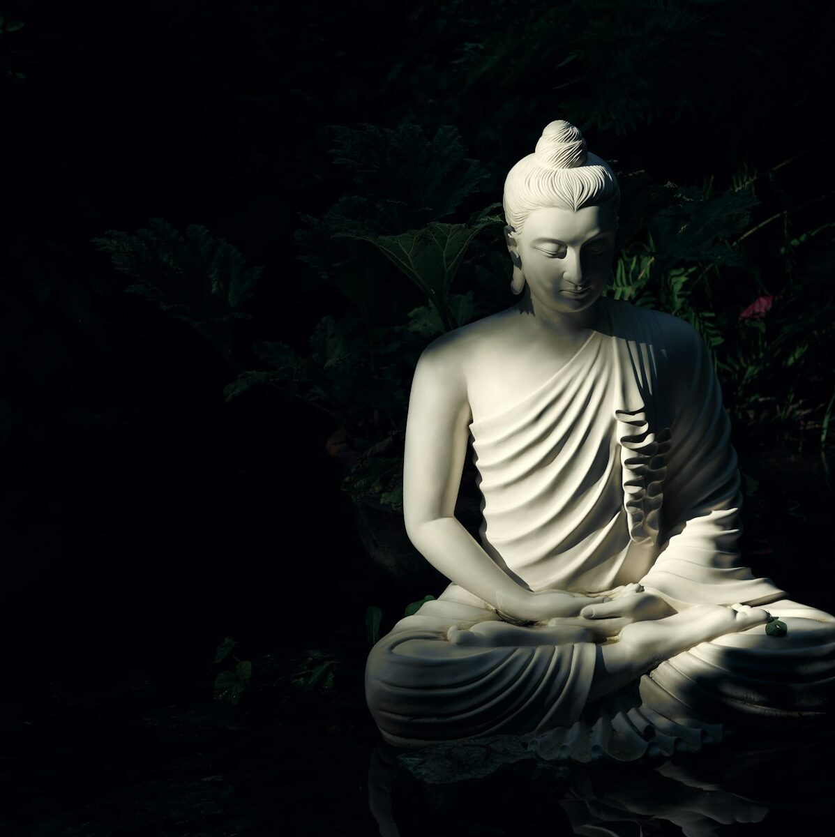 white Buddha statue on body of water